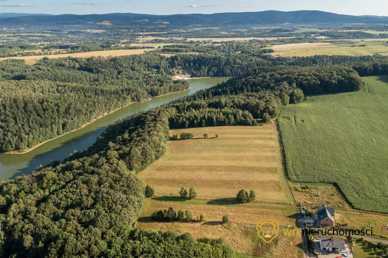 974888 - zdjęcie nr 2