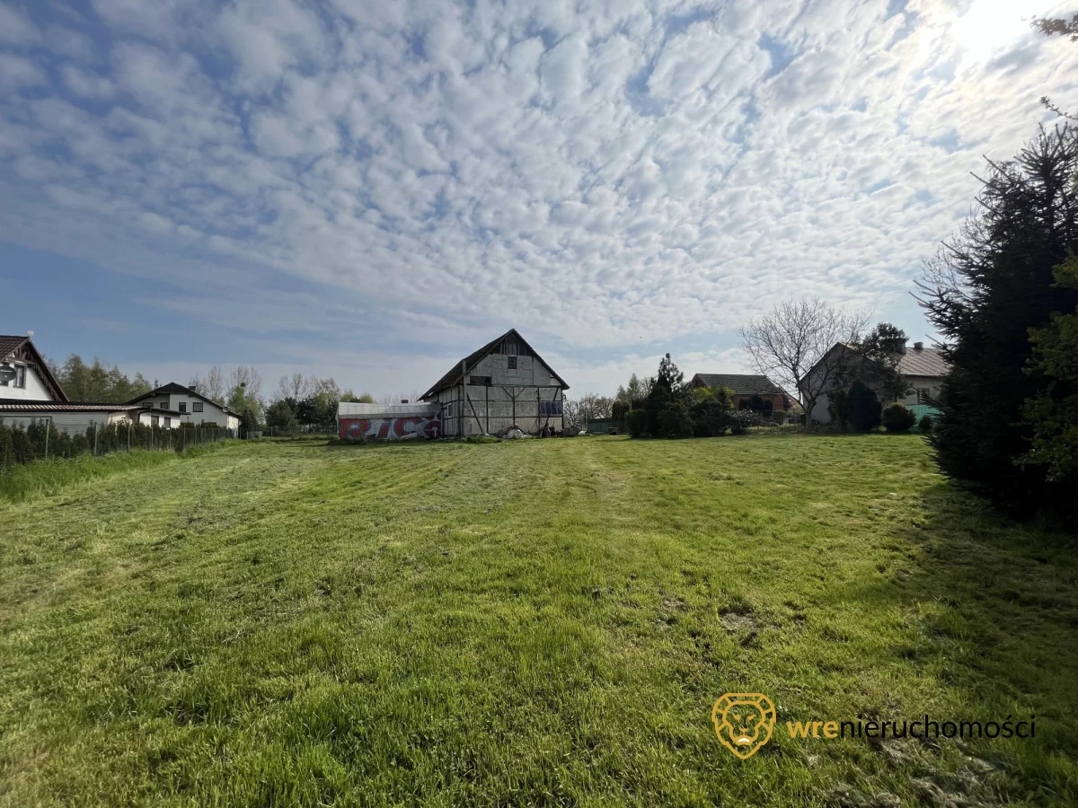 794664 - zdjęcie nr 3