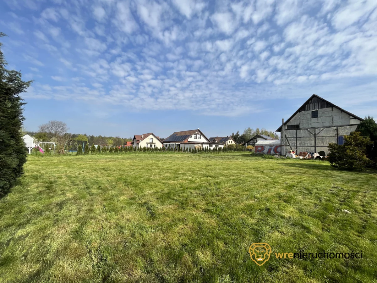 794664 - zdjęcie nr 4