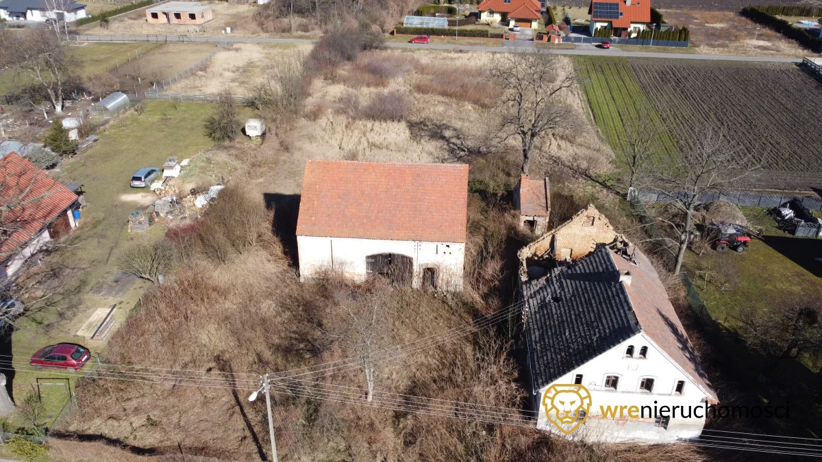 925921 - zdjęcie nr 0