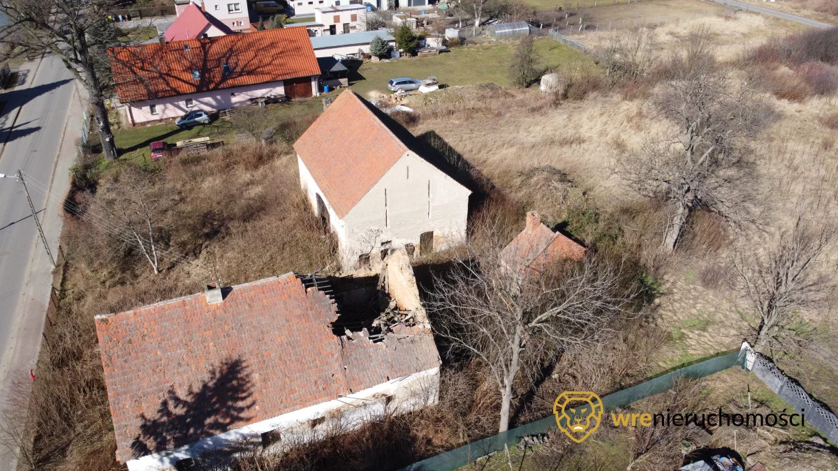 925921 - zdjęcie nr 3