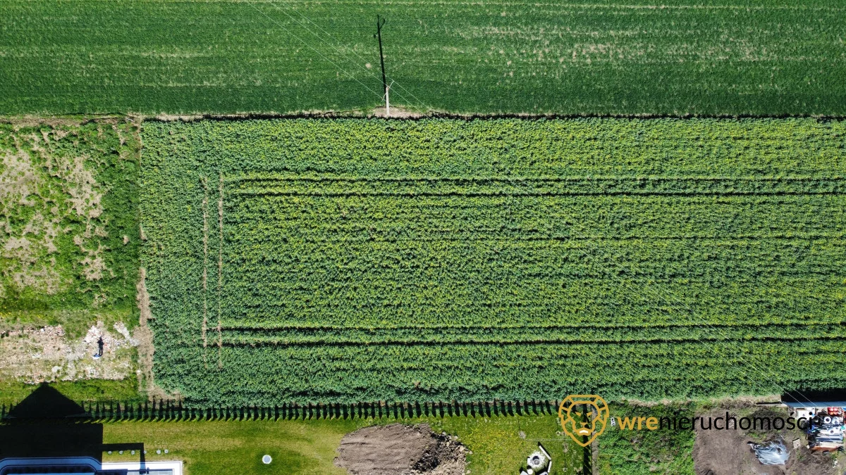 296784 - zdjęcie nr 0