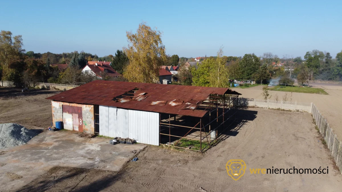 863196 - zdjęcie nr 1