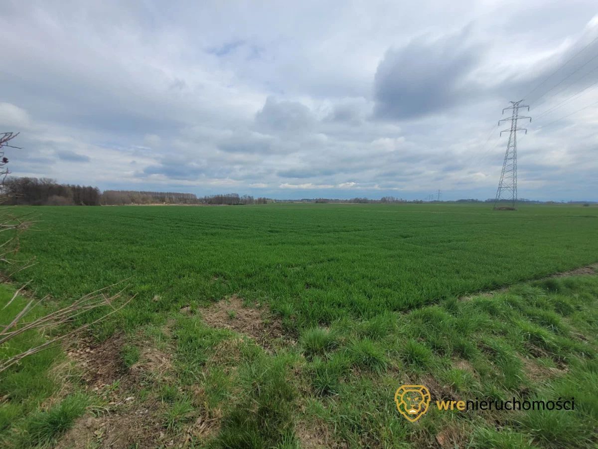 Działka 9 184,00 m², oferta nr , 626505, Małkowice
