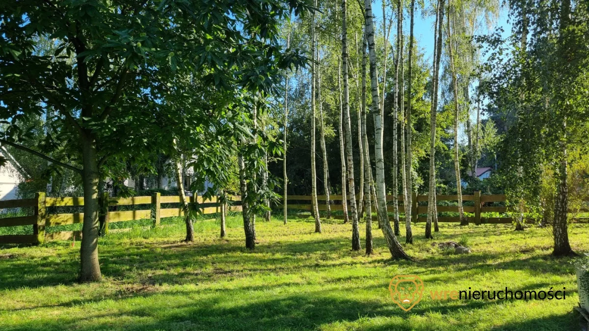 168961 - zdjęcie nr 3