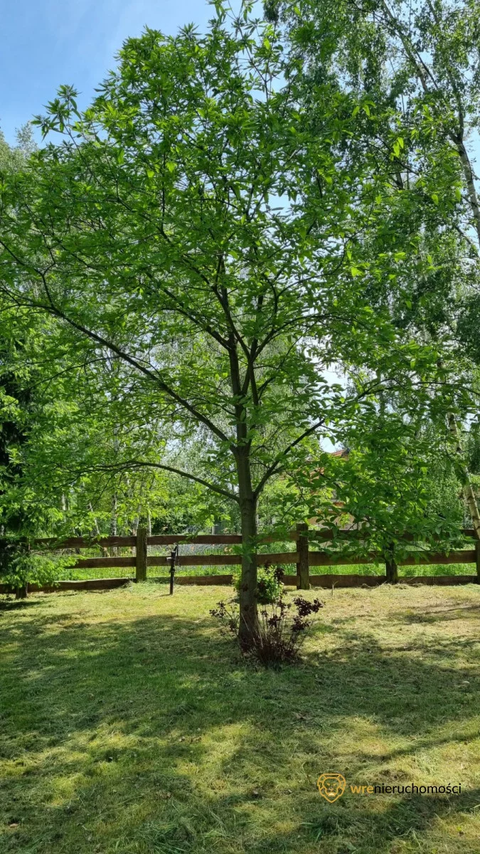 Działka 3 117,00 m², oferta nr , 213307, Masłów