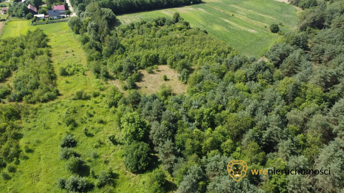107639 - zdjęcie nr 3