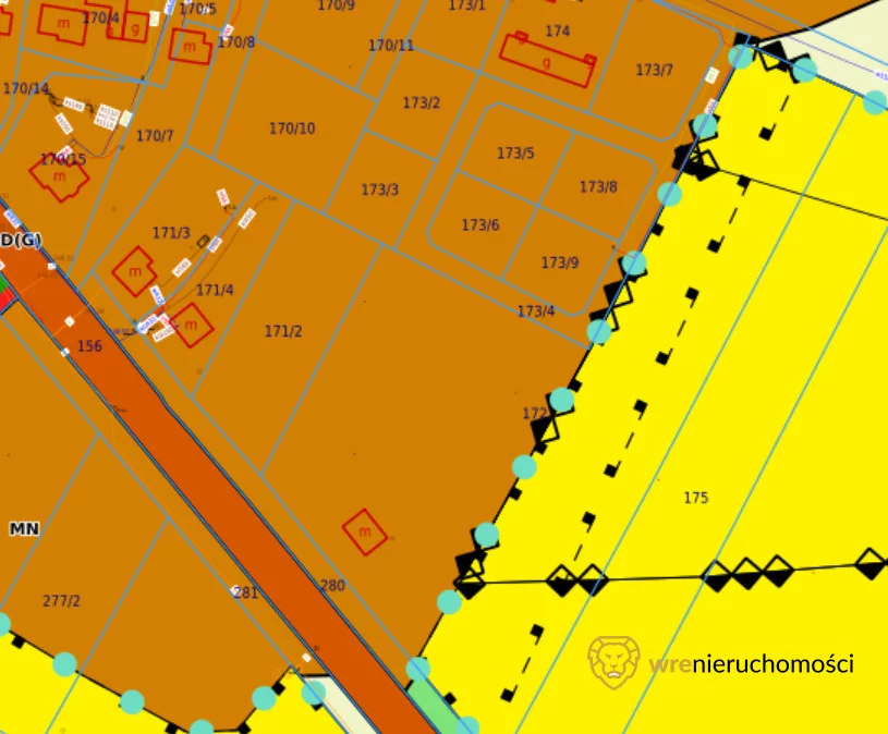 Działka 16 690,00 m², Nowa Wieś Goszczańska, Sprzedaż