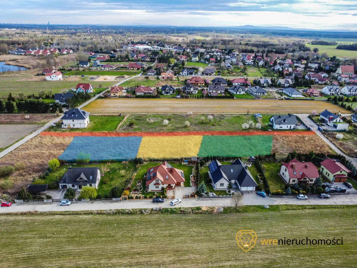 553783 - zdjęcie nr 2