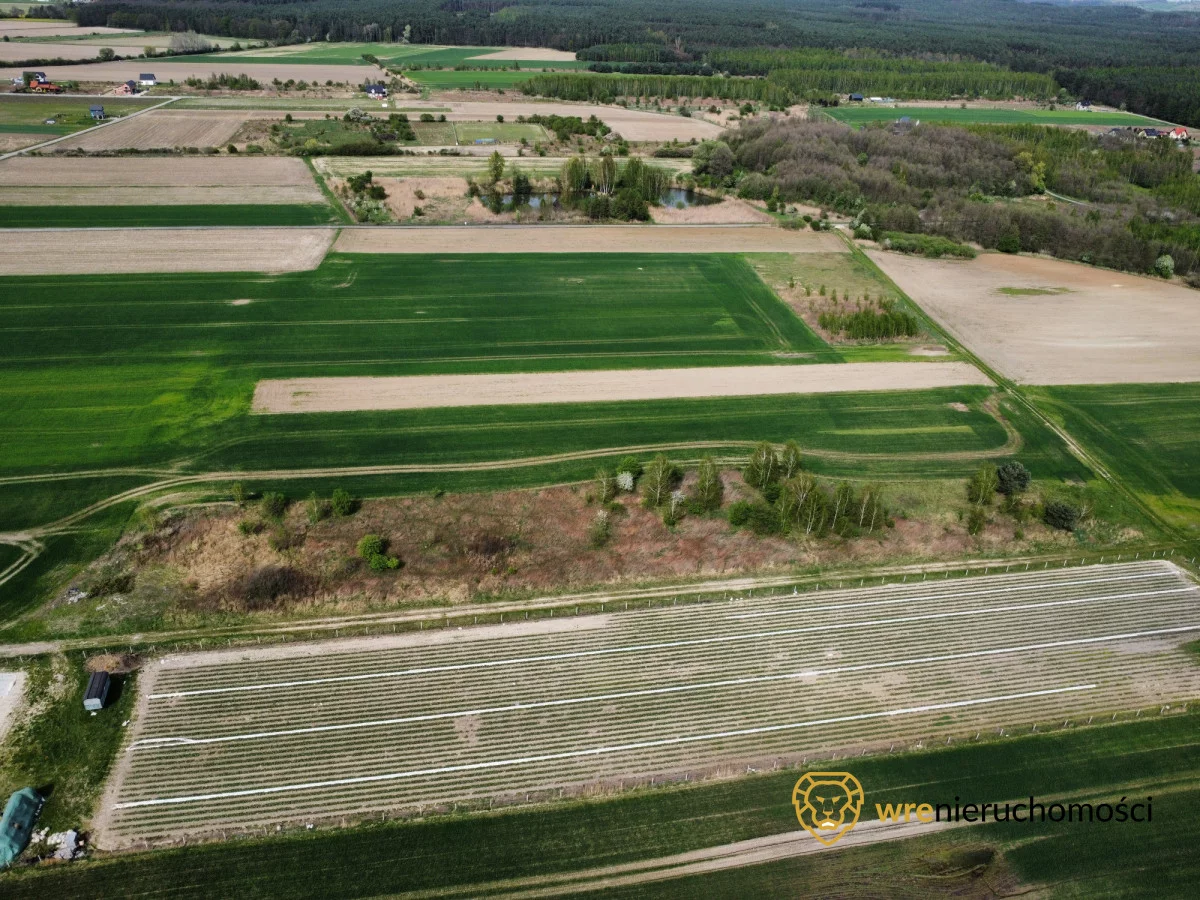 Działka 5 000,00 m², oferta nr , 719960, Pęgów