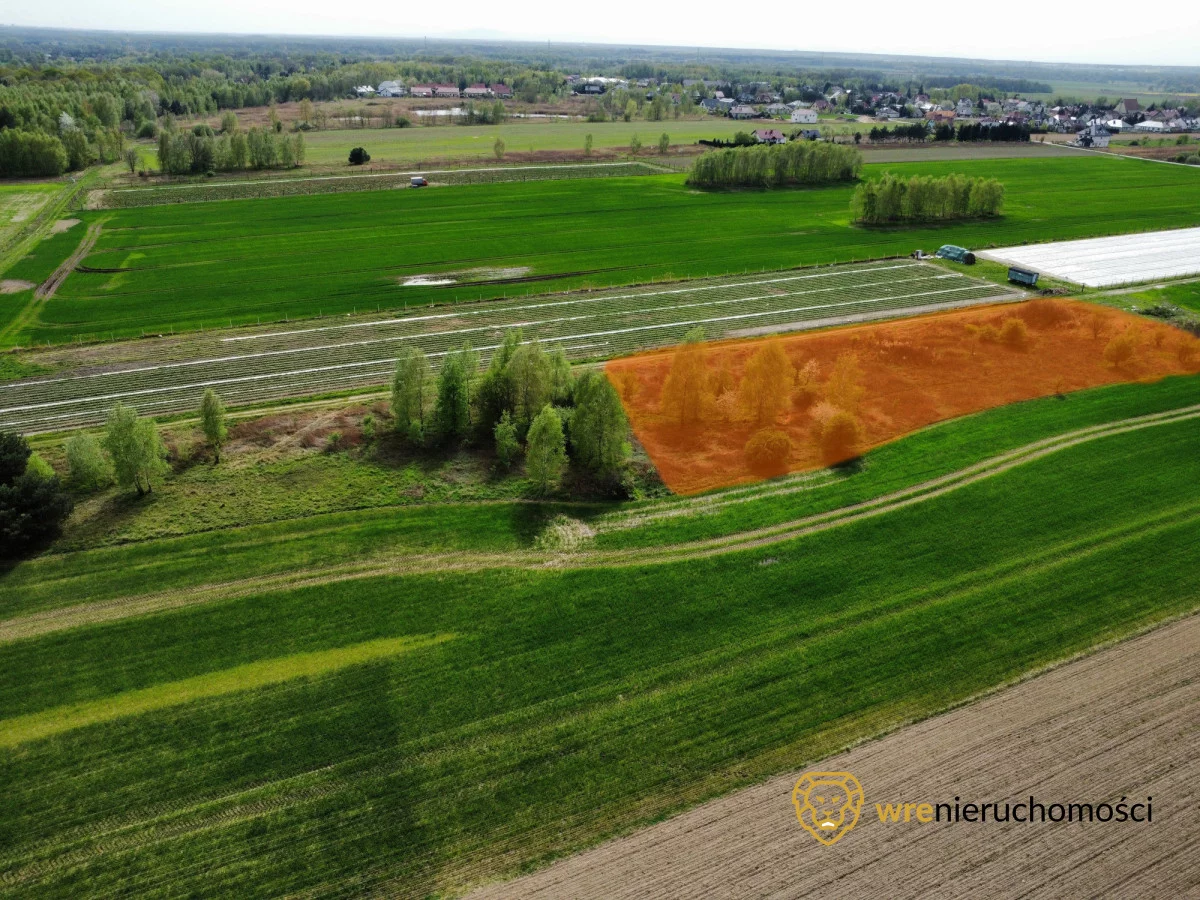Działka 5 000,00 m², oferta nr , 719960, Pęgów