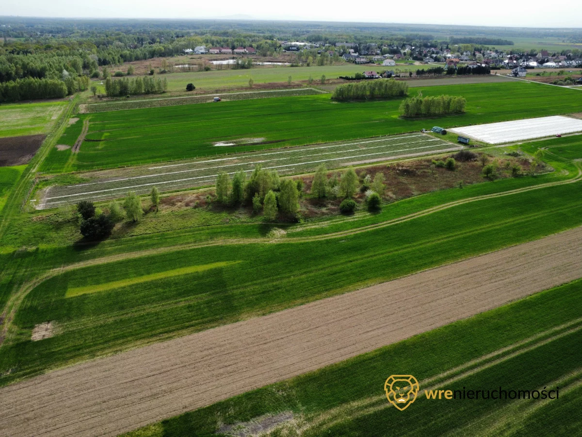 Działka 5 000,00 m², oferta nr , 719960, Pęgów
