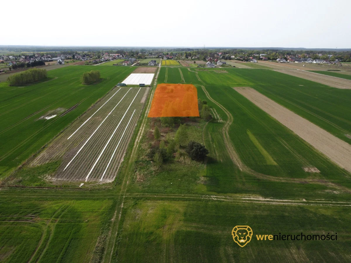 Działka 5 000,00 m², oferta nr , 719960, Pęgów
