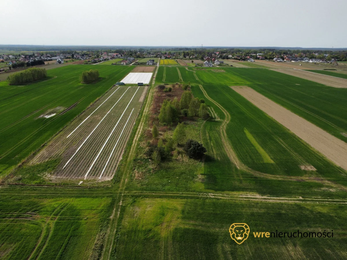 Działka 5 000,00 m², oferta nr , 719960, Pęgów