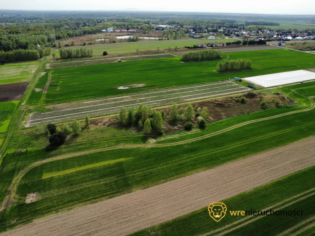 Działka 5 000,00 m², oferta nr , 719960, Pęgów
