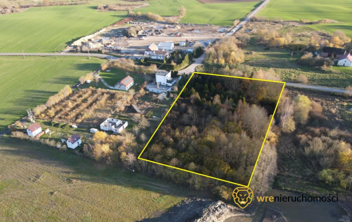 305733 - zdjęcie nr 3