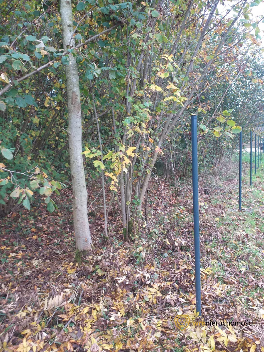 Działka 9 677,00 m², oferta nr , 305733, Popowo