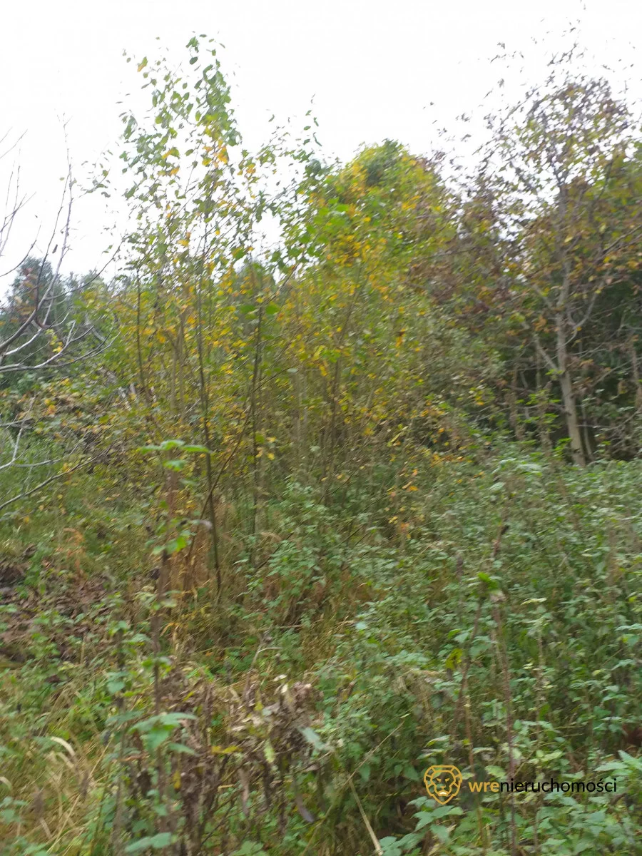 Działka 9 677,00 m², oferta nr , 305733, Popowo
