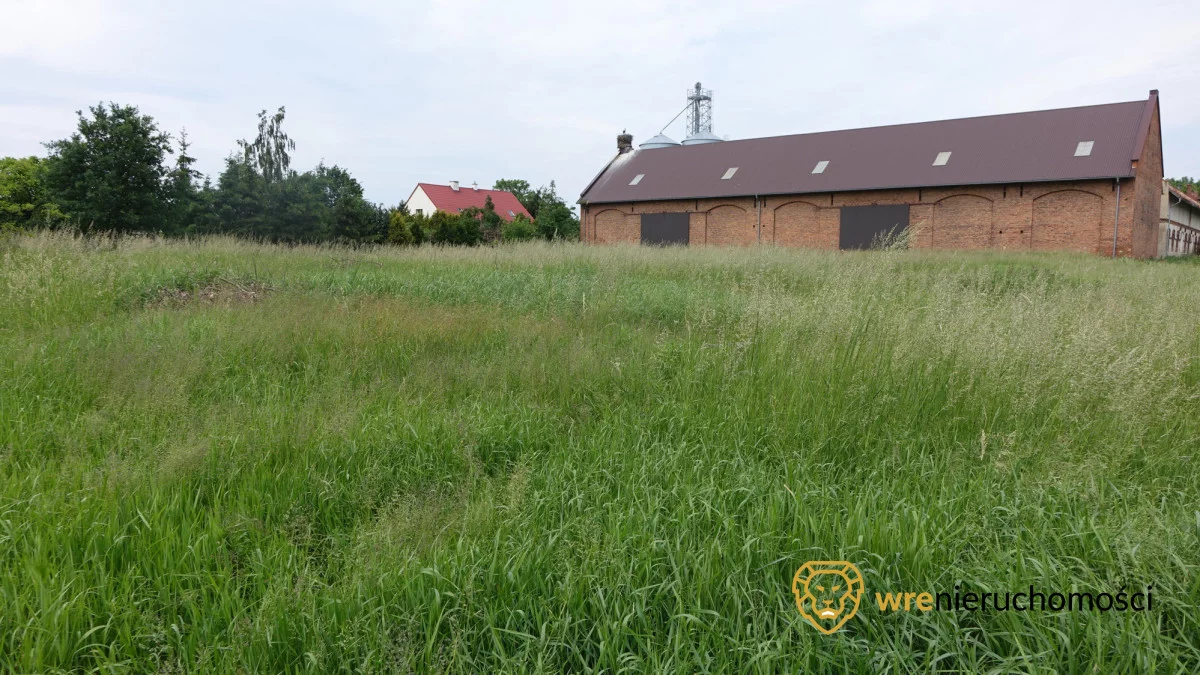 416557 - zdjęcie nr 3