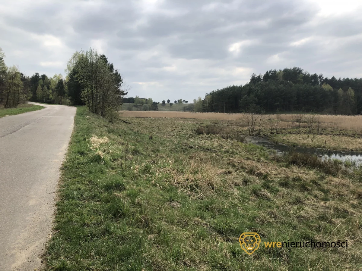 903131 - zdjęcie nr 3