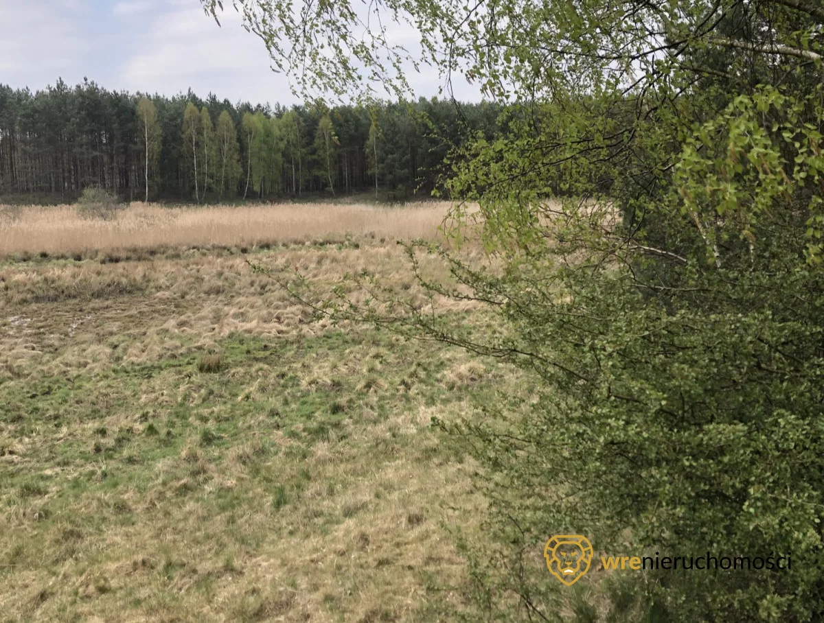 903131 - zdjęcie nr 4