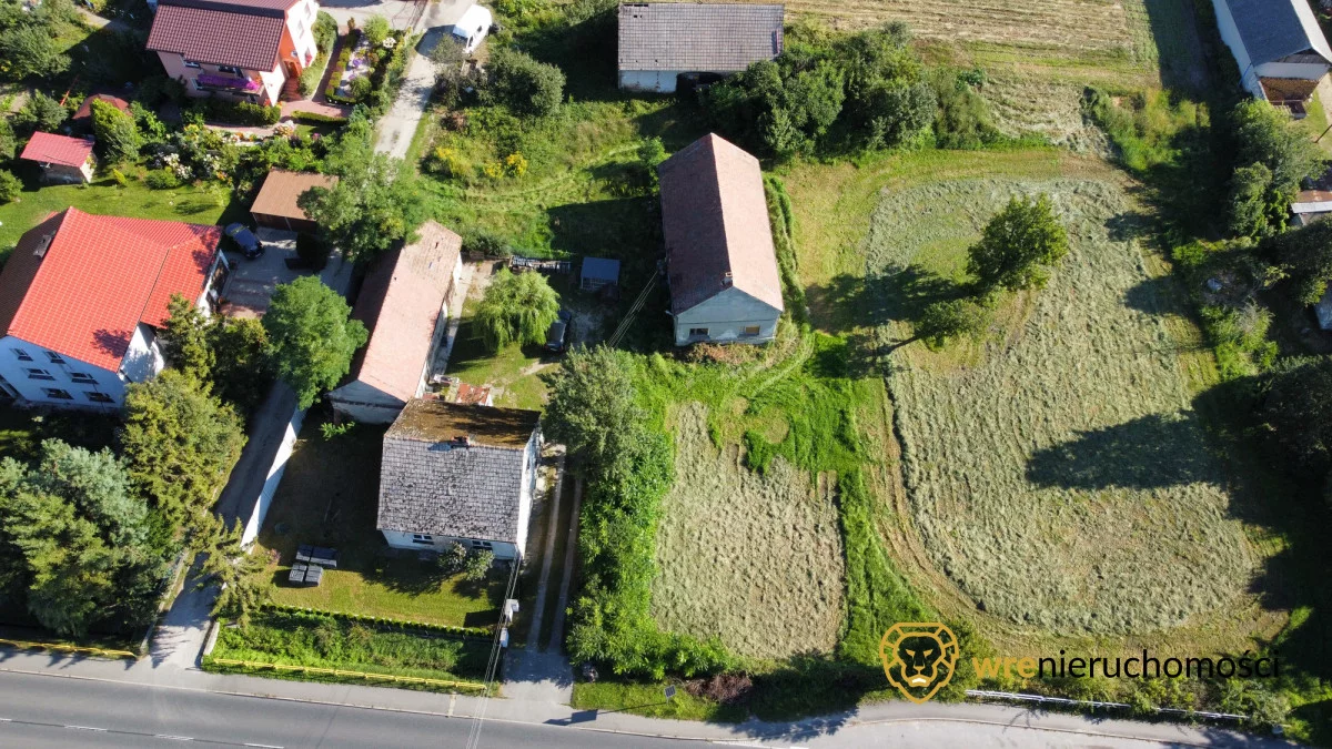 227678 - zdjęcie nr 2