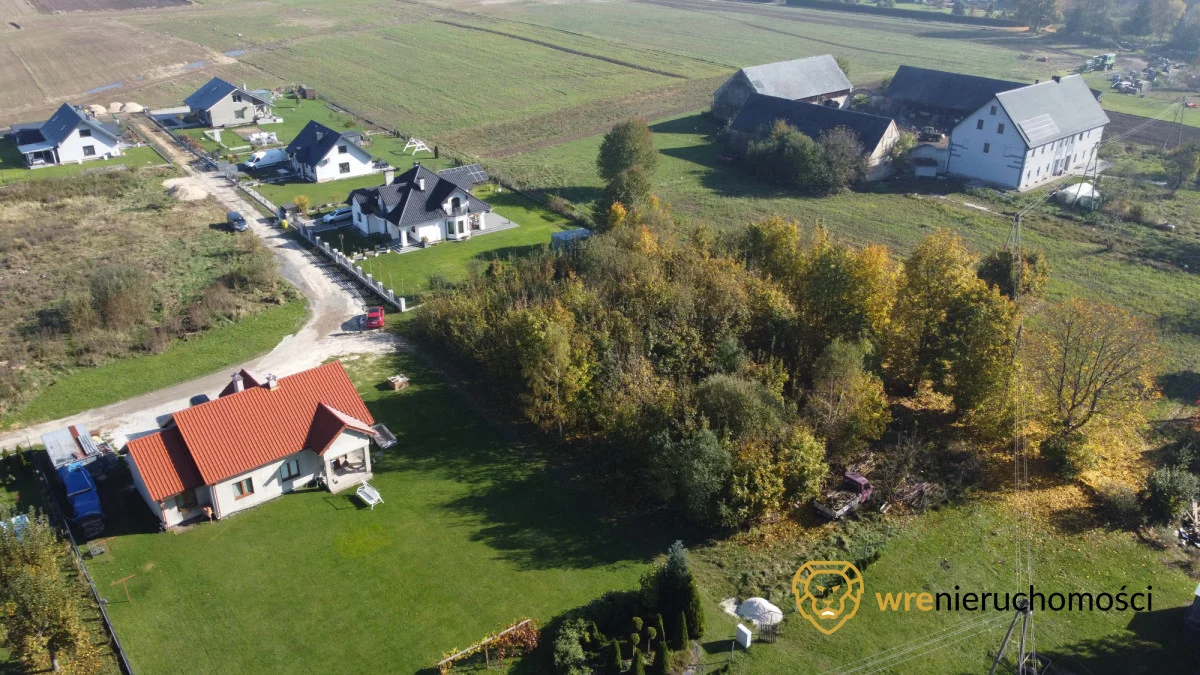 288143 - zdjęcie nr 2