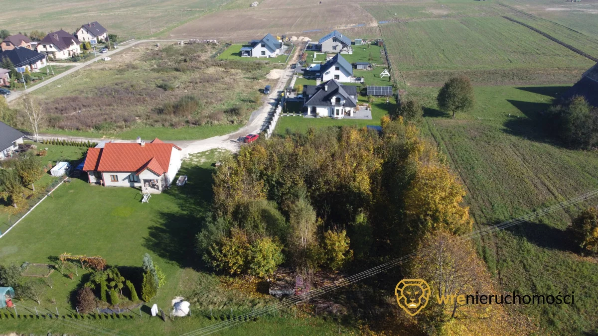 288143 - zdjęcie nr 4