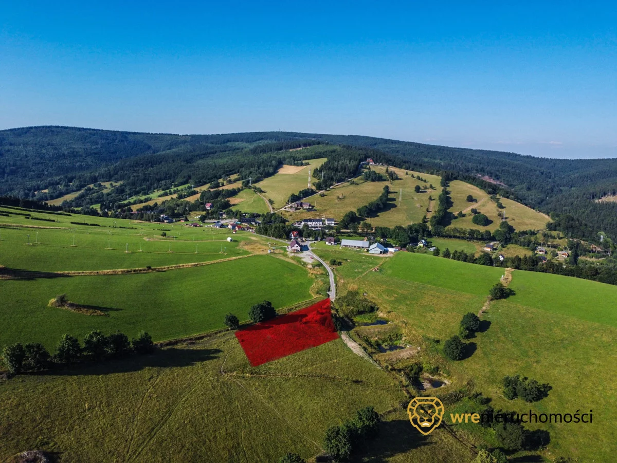 246251 - zdjęcie nr 0