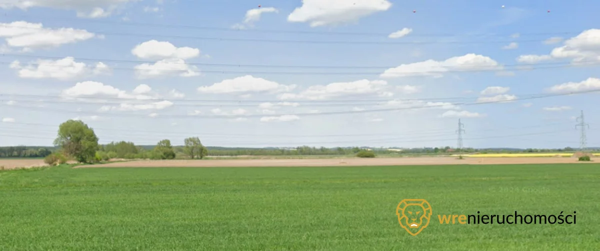 Działka 44 200,00 m², oferta nr , 837641, Szewce