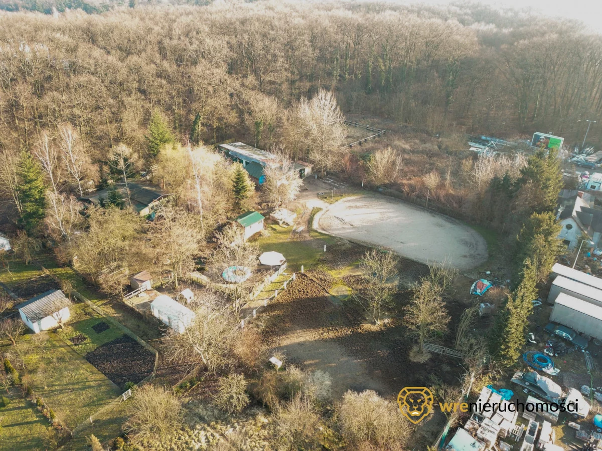 143583 - zdjęcie nr 1