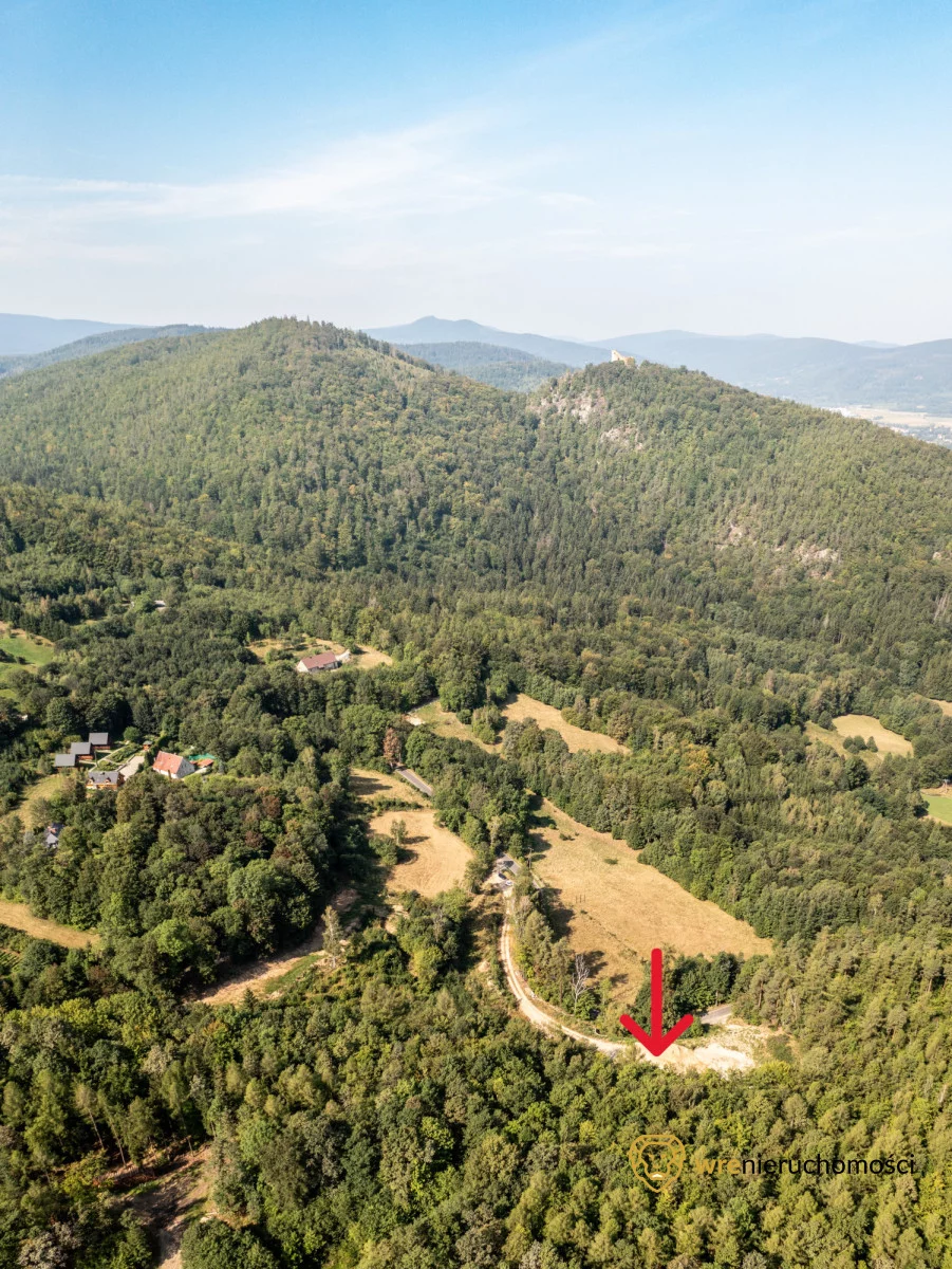 Działka 10 600,00 m², Zachełmie, Sprzedaż
