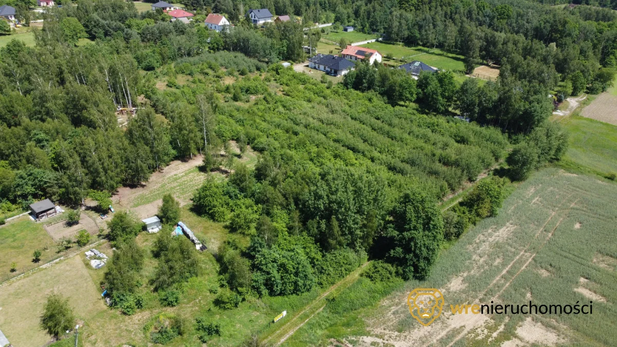 265840 - zdjęcie nr 2
