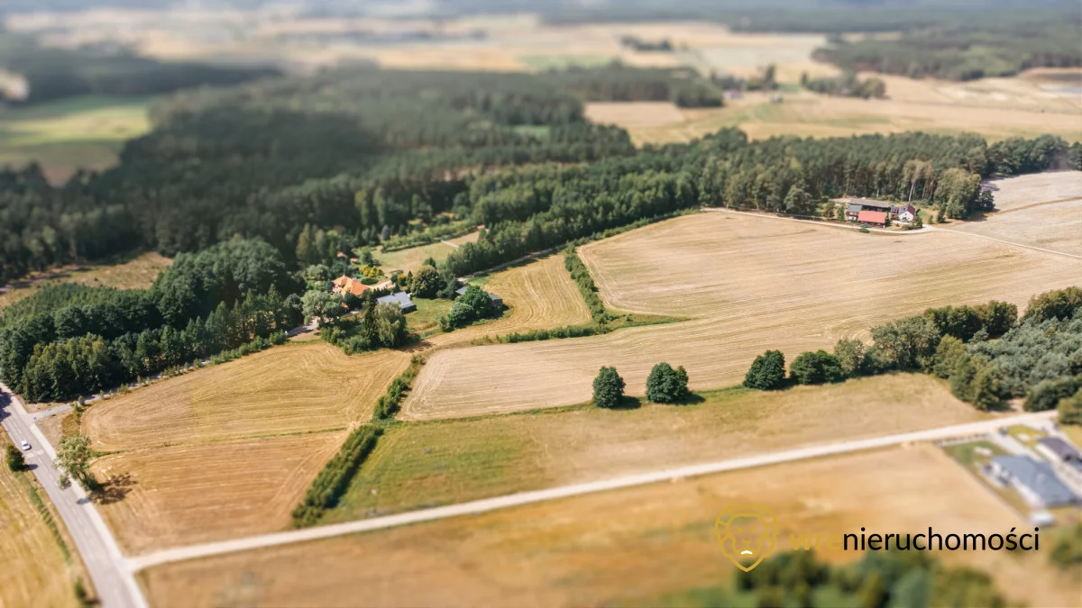 Działka 47 740,00 m², Śliwice, Zdrojowa, Sprzedaż