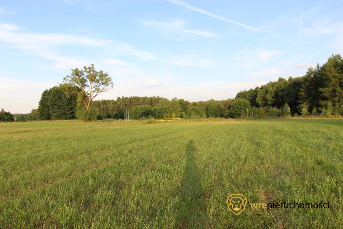 Działka 47 000,00 m², oferta nr , 640562, Śliwice, Zdrojowa