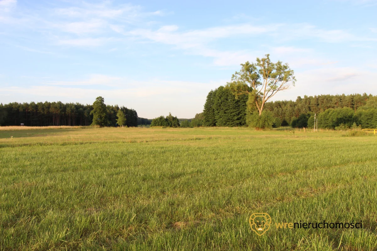 Działka 47 000,00 m², oferta nr , 640562, Śliwice, Zdrojowa