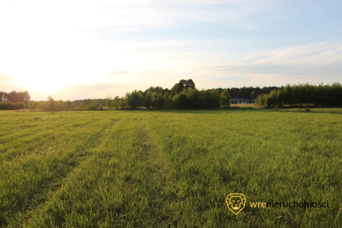 Działka 47 000,00 m², oferta nr , 640562, Śliwice, Zdrojowa