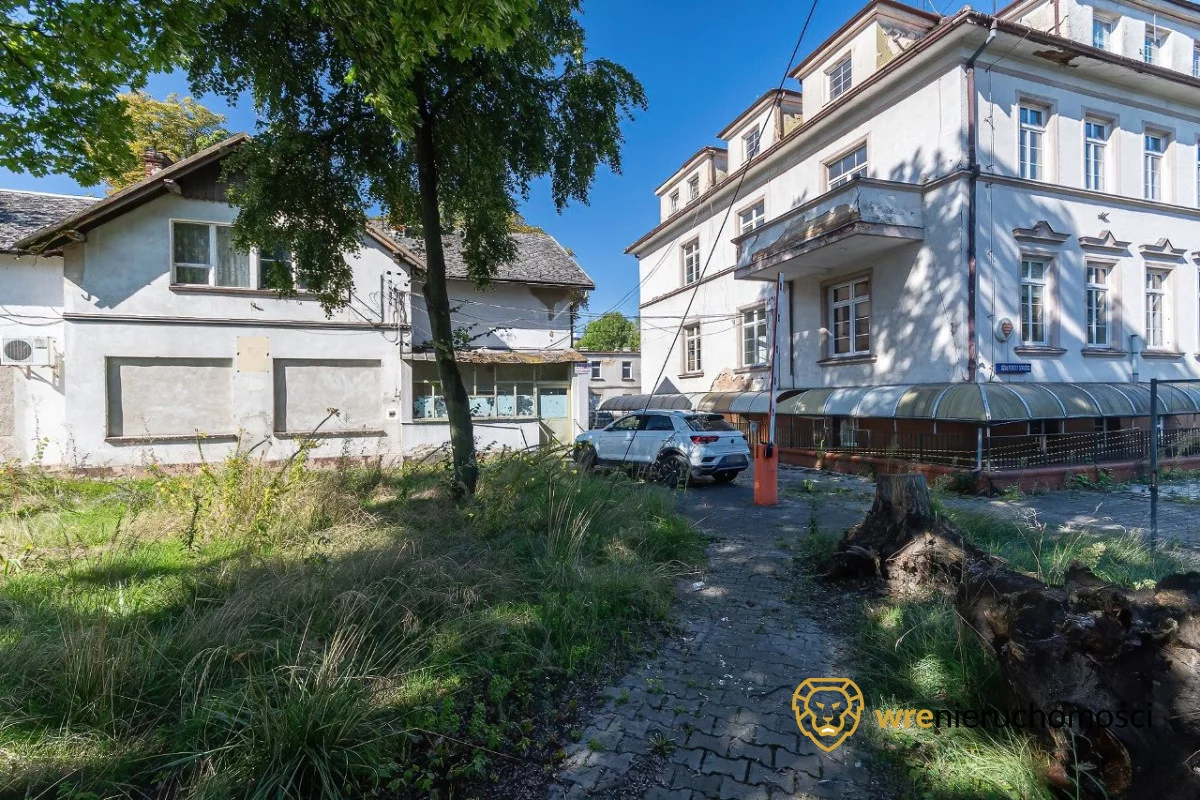 216337 - zdjęcie nr 4