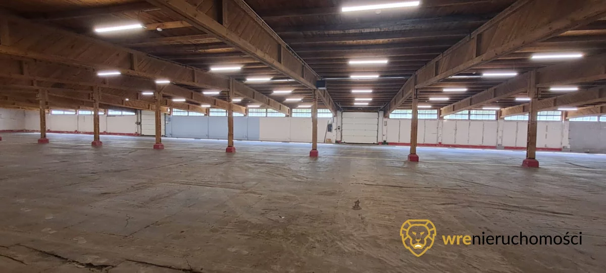 Magazyn 1 000,00 m², oferta nr , 972490, Bolesławiec