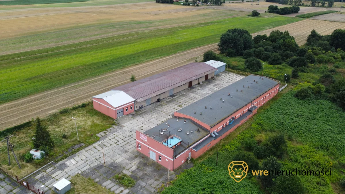 Magazyn 2 252,90 m², Brzeg, Sprzedaż