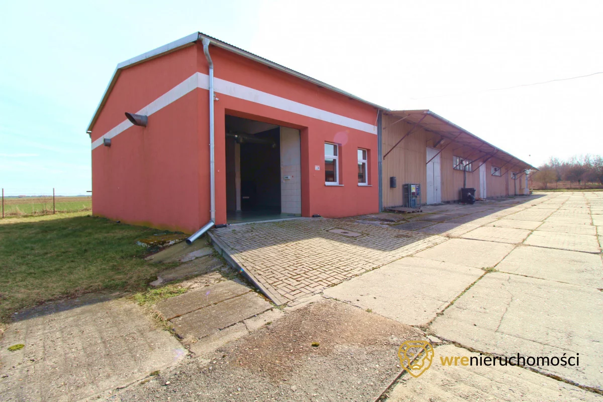 Magazyn 2 252,90 m², oferta nr , 671139, Brzeg