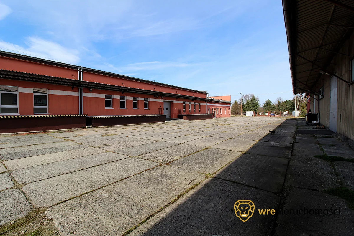Magazyn 2 252,90 m², oferta nr , 671139, Brzeg