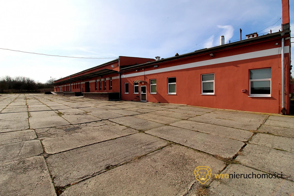 Magazyn 2 252,90 m², oferta nr , 671139, Brzeg