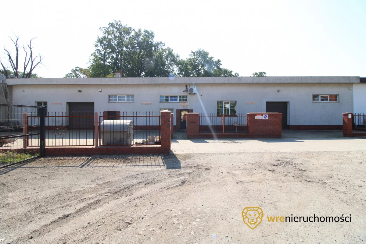 992549 - zdjęcie nr 3