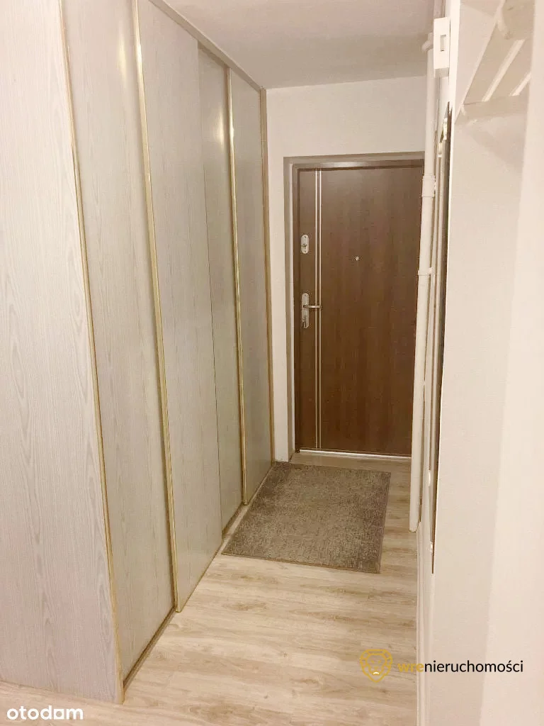 117431 - zdjęcie nr 2