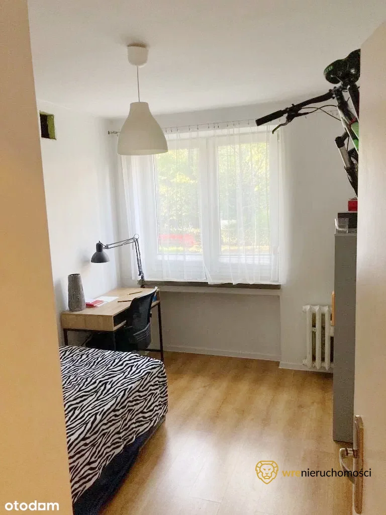 117431 - zdjęcie nr 4