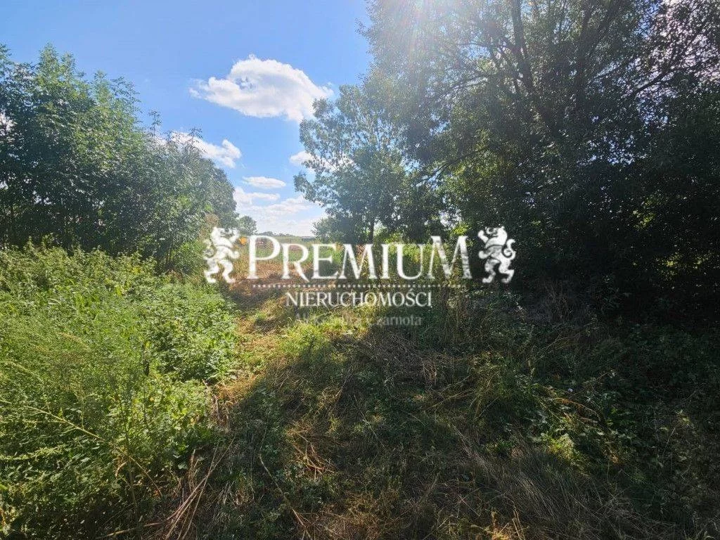 Działka 4 400,00 m², oferta nr , 29320117, Tyniec nad Ślęzą, Leśna