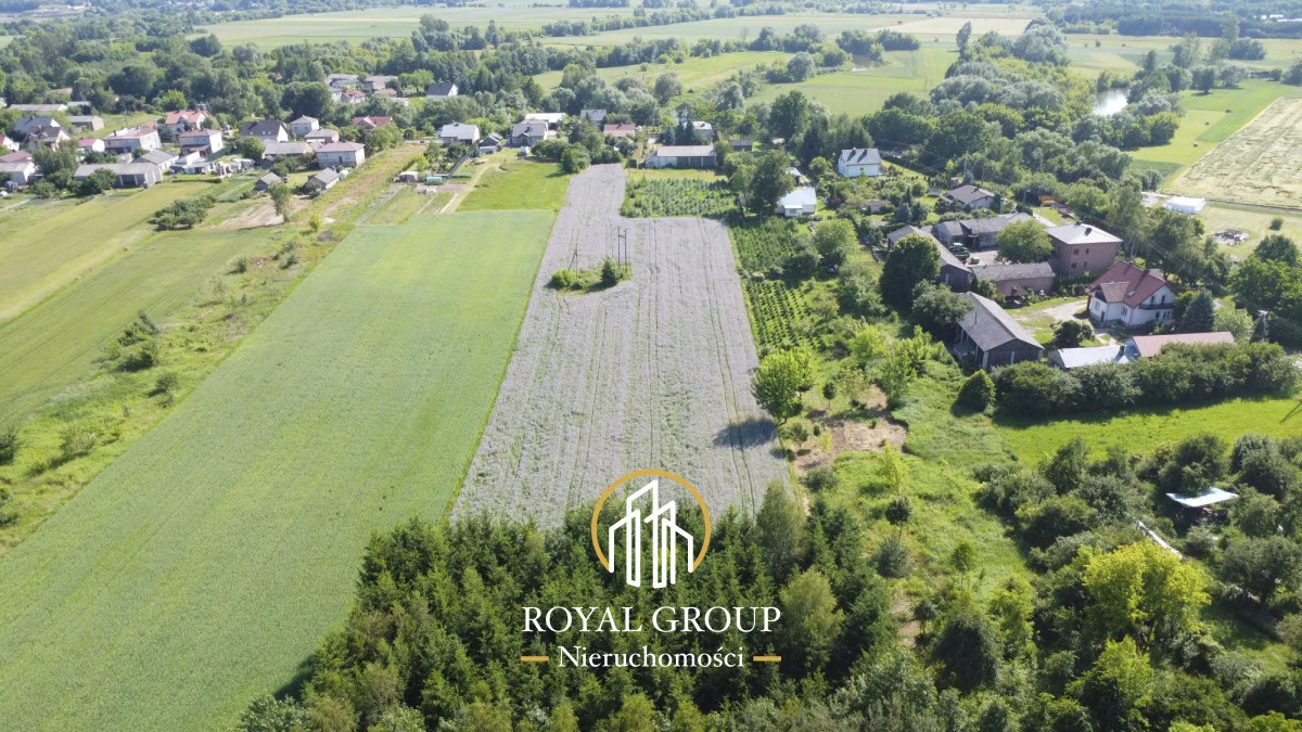 RGN947276 - zdjęcie nr 3