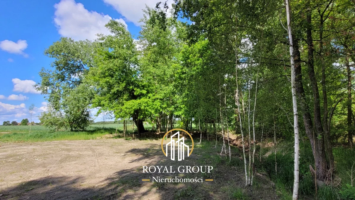Apartamenty RGN193497 Kamionka