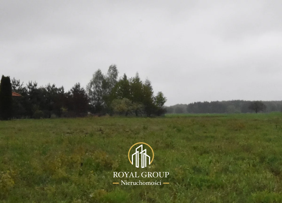 RGN710122 - zdjęcie nr 1